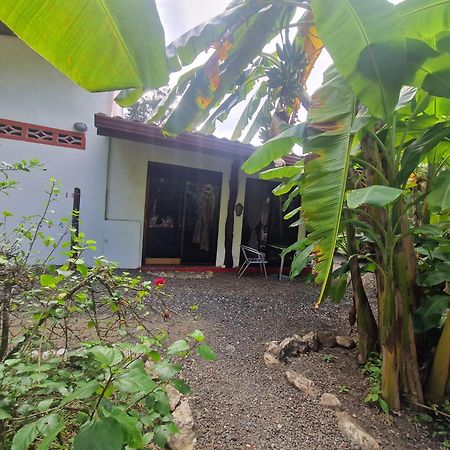 Villas Jungle 5 Sámara المظهر الخارجي الصورة