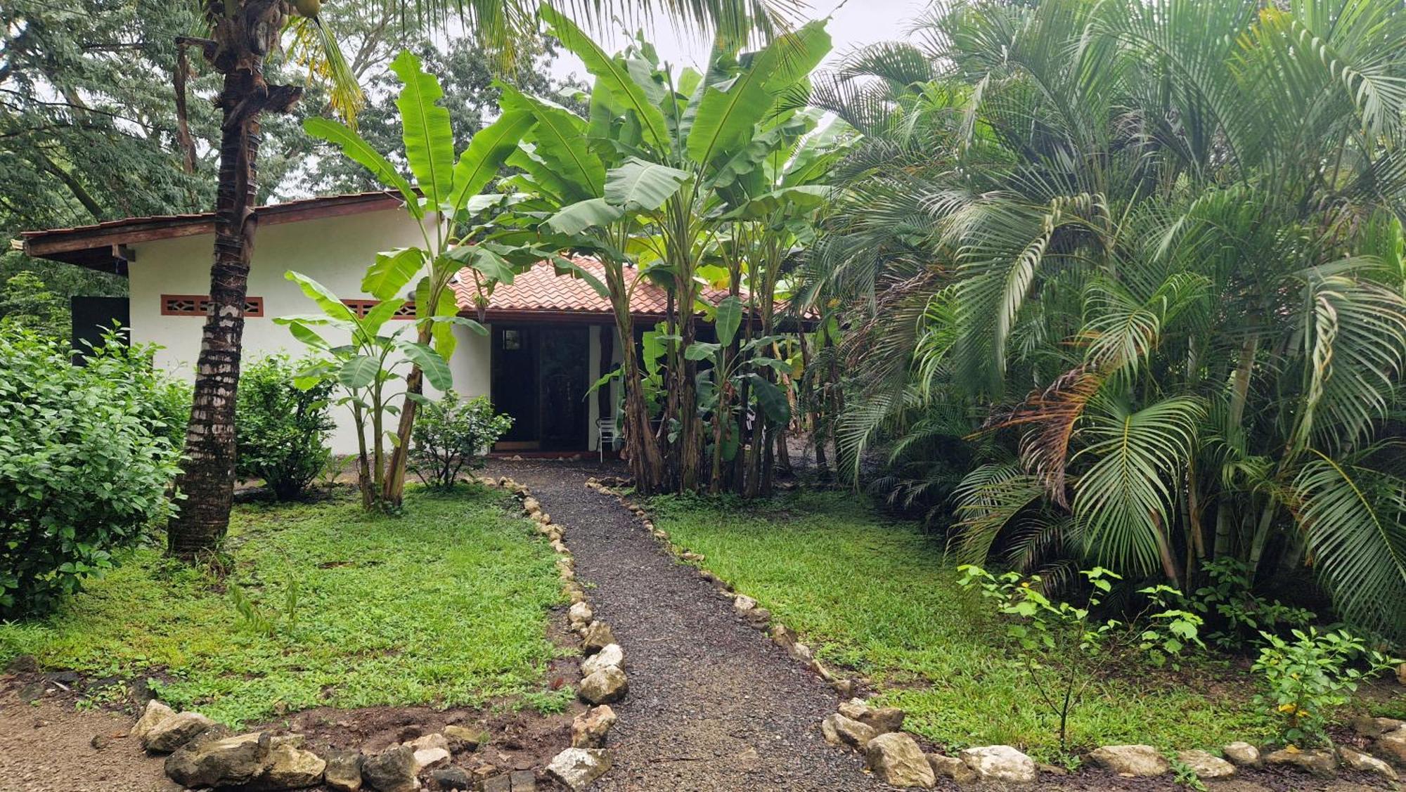 Villas Jungle 5 Sámara المظهر الخارجي الصورة